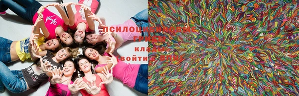 дистиллят марихуана Гусиноозёрск