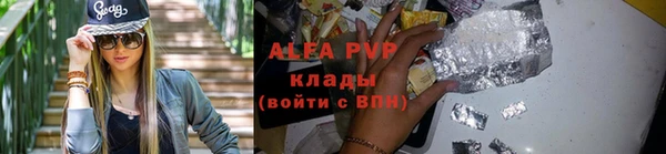 круглые Гусев