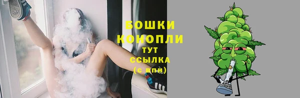 круглые Гусев