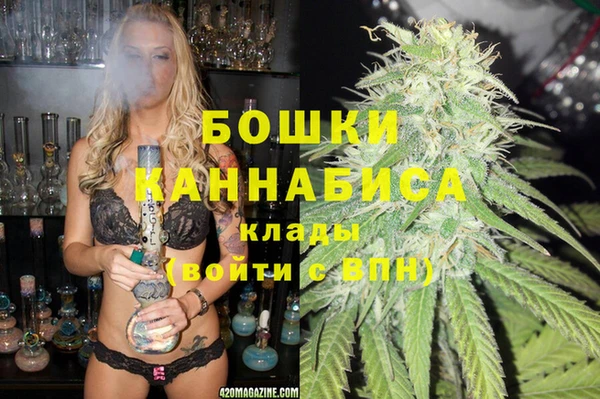 круглые Гусев