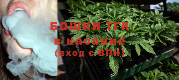 круглые Гусев