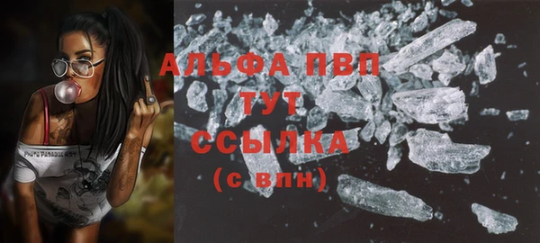 круглые Гусев