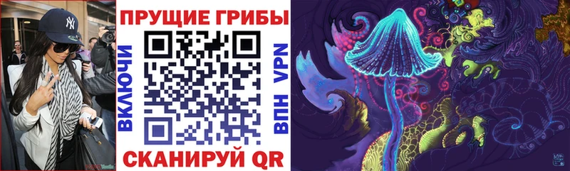 Купить закладки  Ялуторовск  Галлюциногенные грибы Magic Shrooms 
